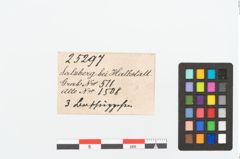 Etikett zu Bronzeknopf (NHMW-PRAE-025297)
